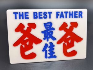 Best Father TEST 最佳爸爸 / THE BEST FATHER