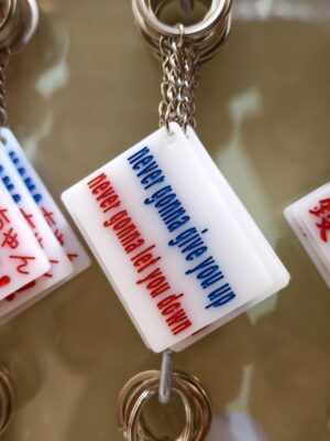 never gonna give you up never gonna let you down