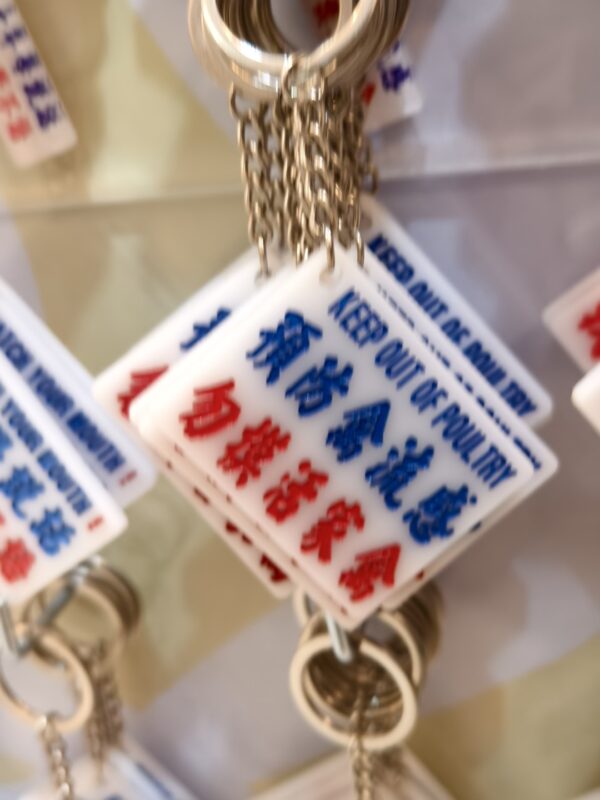 預防禽流感 勿摸活家禽