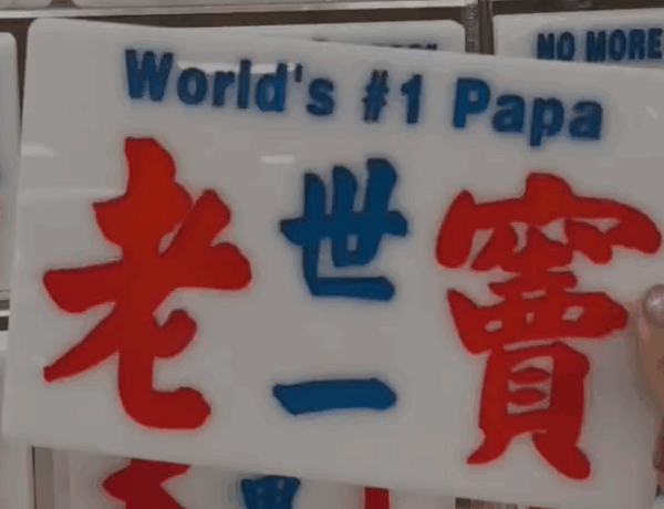 世一老竇